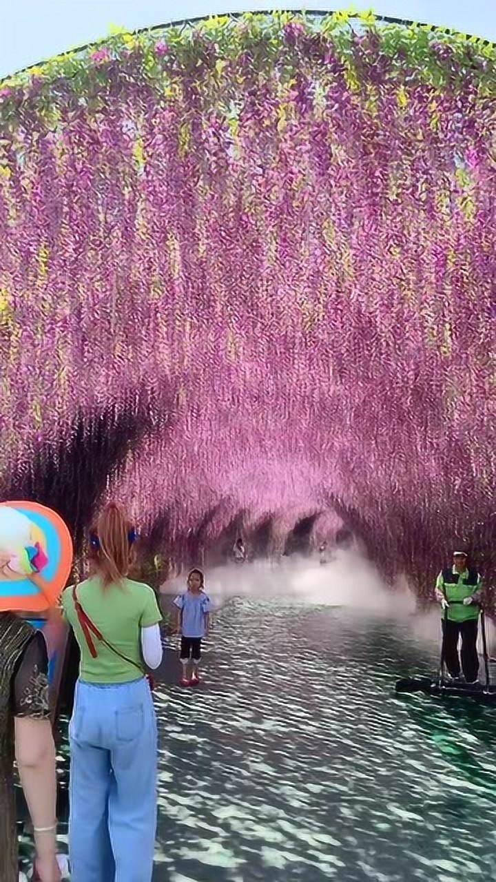 这是紫藤萝瀑布吧?这样的美景最适合拍照了._腾讯视频