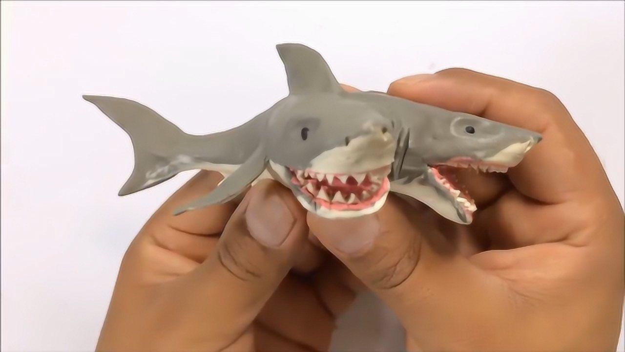 太空泥鲨鱼的制作方法图片