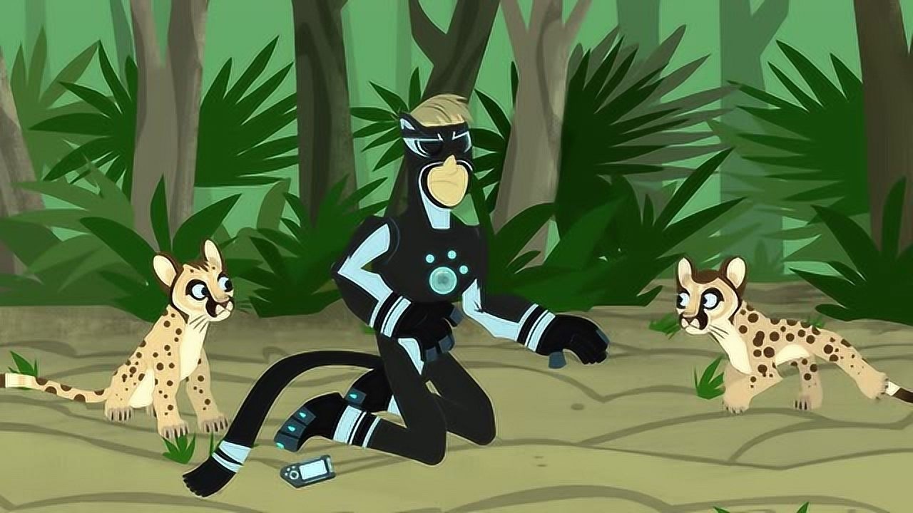 动物兄弟:美洲豹宝宝看起来很饥饿的样子,它们现在需要食物