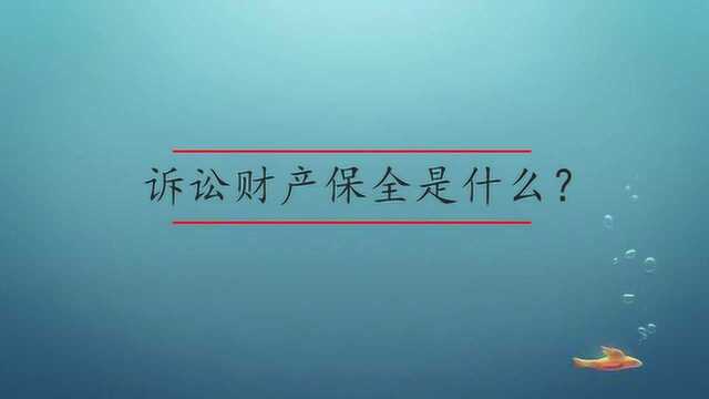 诉讼财产保全是什么?