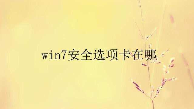 win7安全选项卡在哪