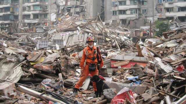 在地震中倒塌的房屋,国家会不会给赔偿?专家进行了解答