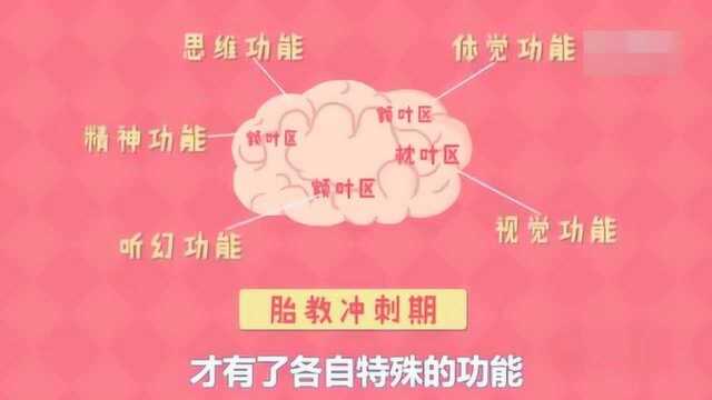 胎教真的越早越好吗,各位宝妈们可得注意了!