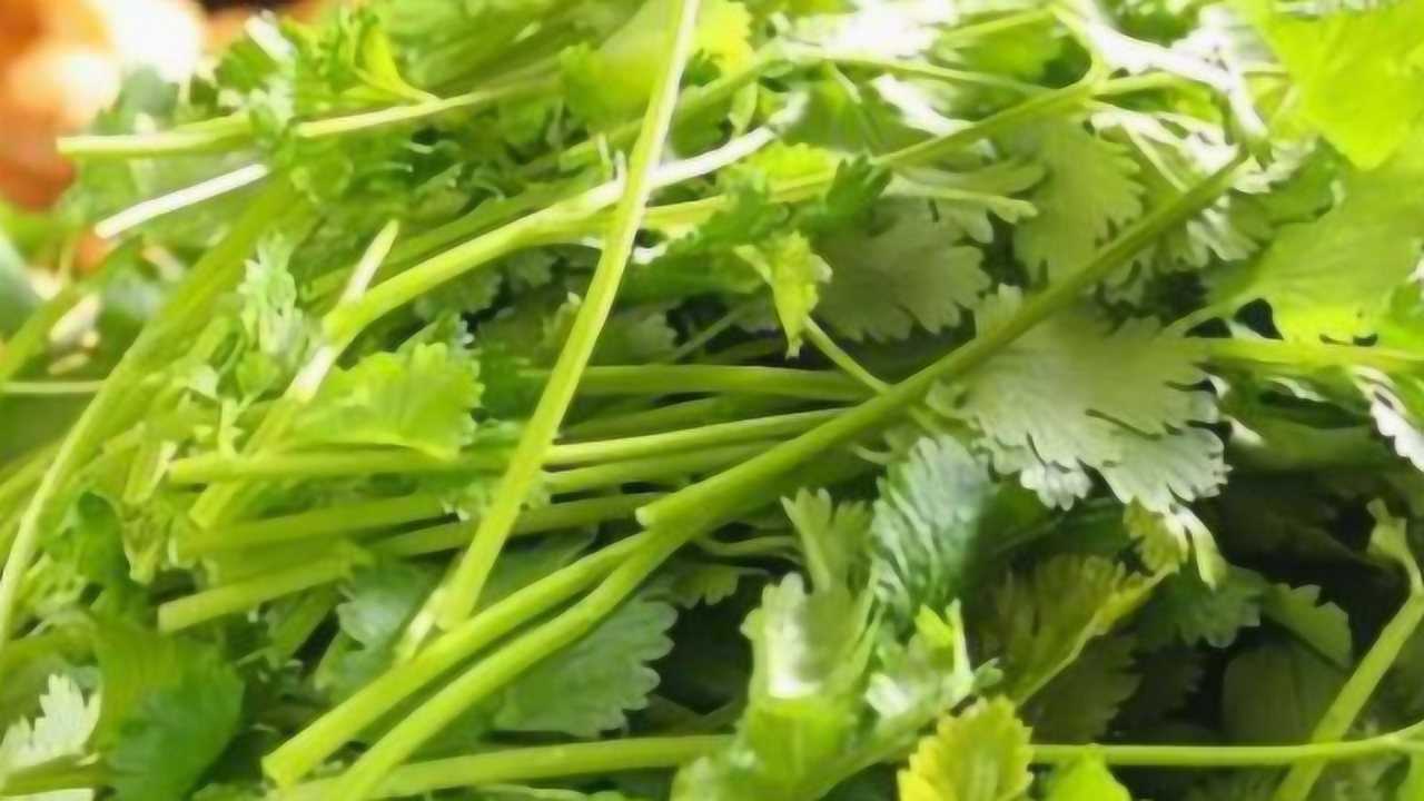 腾讯网