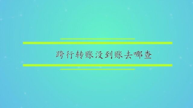 跨行转账没到账去哪查