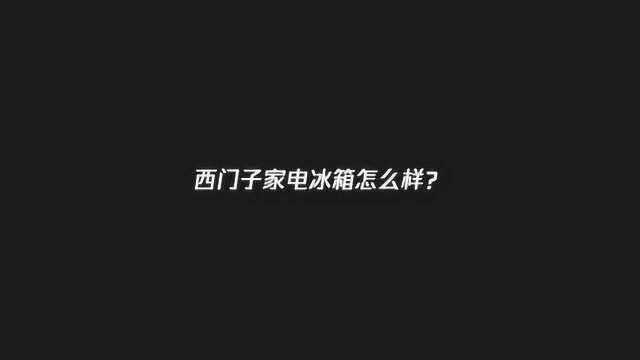 西门子家电冰箱怎么样?