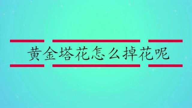 黄金塔花该怎么种植呢