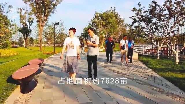 陕西咸阳秦汉新城游览秦文明广场 投资100多亿 看看什么样