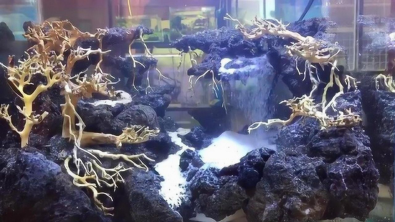 草缸造景新的造型,水举流沙瀑布,根据网上教程学来的!