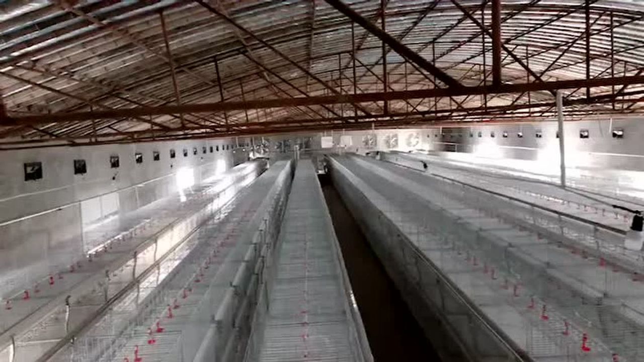 穿着破鞋,干着粗活,只想多赚两个钱能过好以后的生活青州