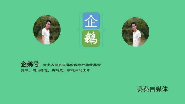 word文档的新建、保存等基本操作,不同兼容