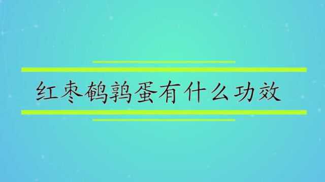 红枣鹌鹑蛋有什么功效