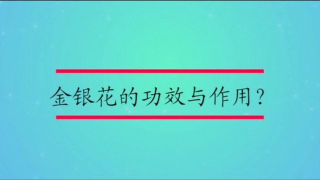 金银花的功效与作用?