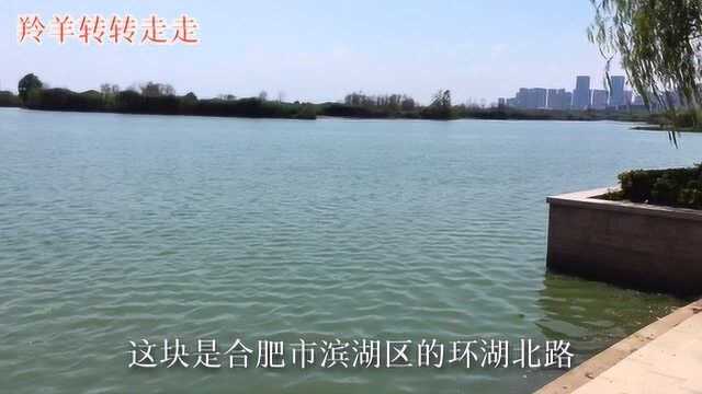 在合肥环湖北路上面看五大淡水湖之一的巢湖风景很美,湖水清