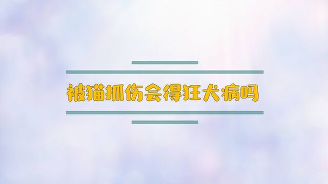 被猫抓伤会得狂犬病吗