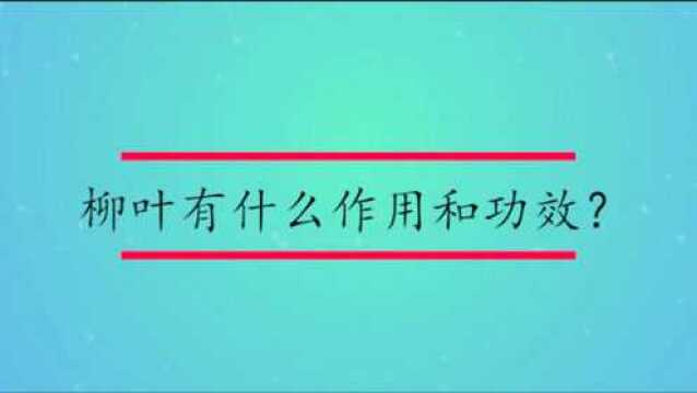 柳叶有什么作用和功效?