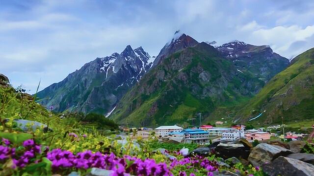 喜马拉雅山下的神秘“花之谷”,沉寂千年才被发现的秘密花园