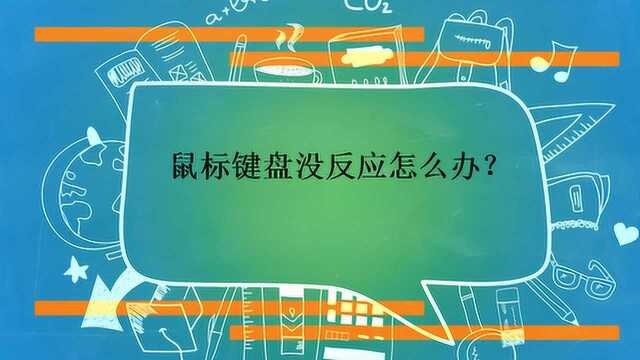 鼠标键盘没反应怎么办?