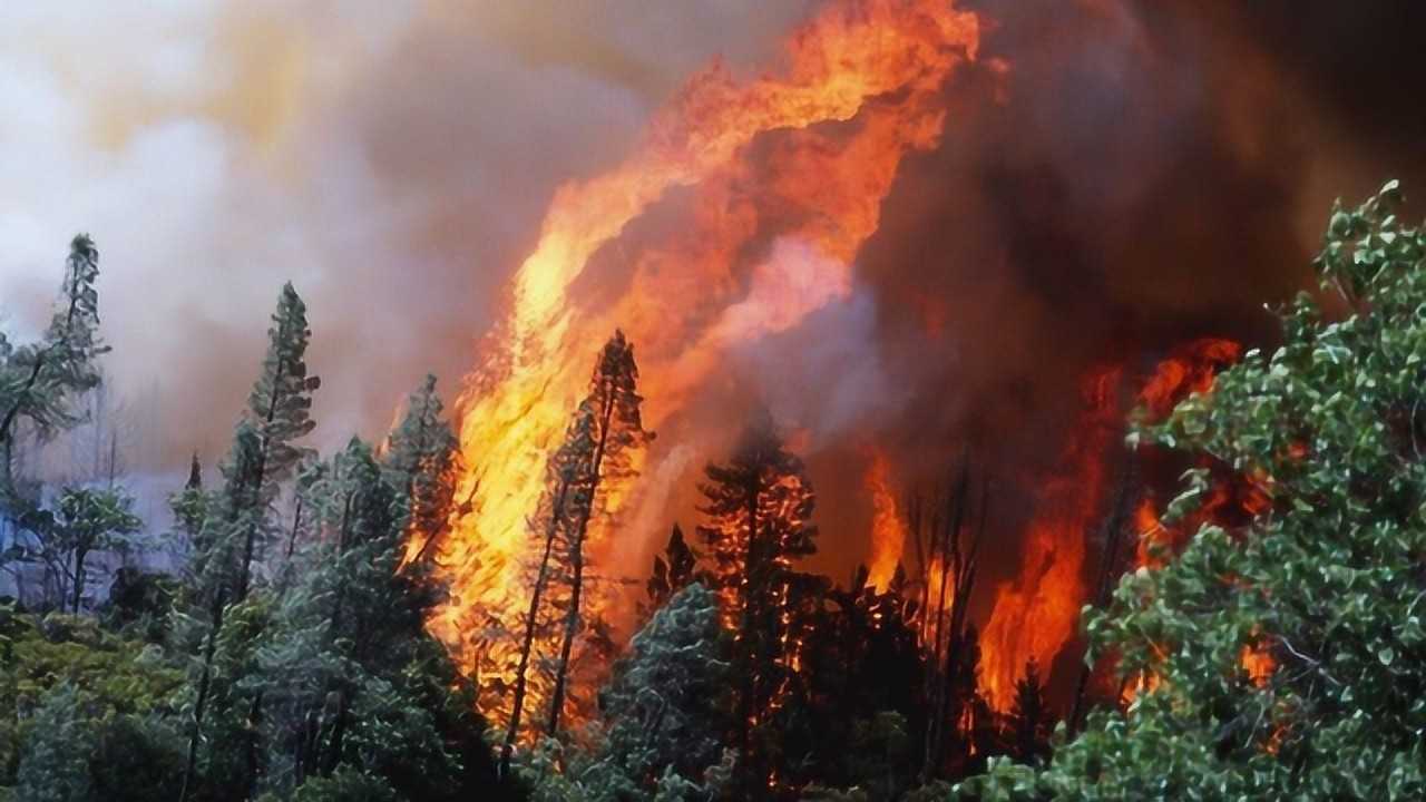 亚马逊雨林大火到底有多可怕今天让你现场感受一番