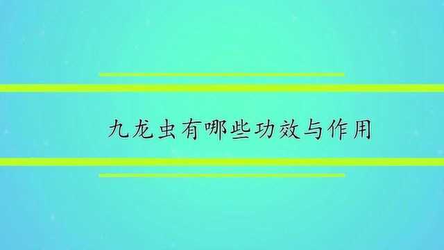 九龙虫有哪些功效与作用