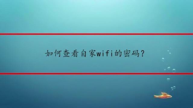 如何查看自家wifi的密码?