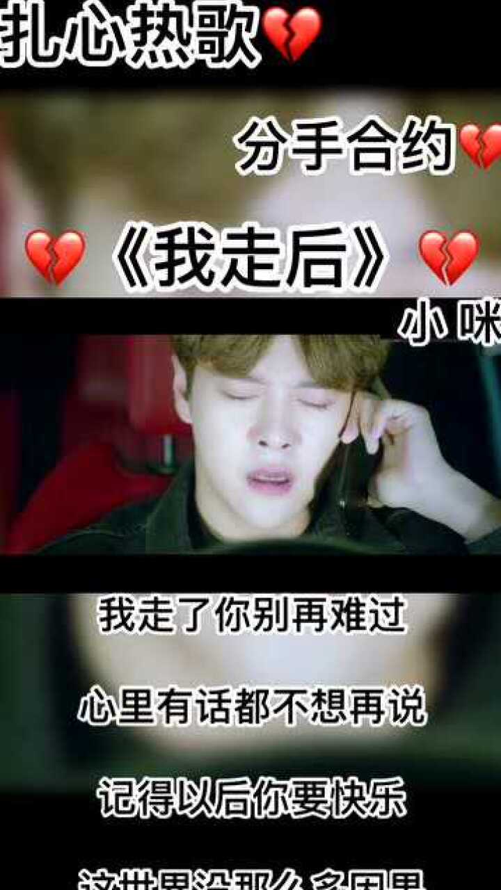 音乐我走后我走了你别再难过心里有话都不想再说