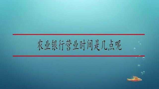 农业银行营业时间是几点呢