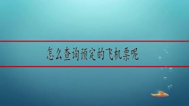 怎么查询预定的飞机票呢