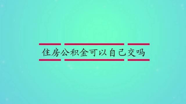 住房公积金可以自己交吗?