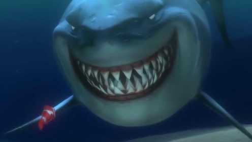 小丑鱼要找儿子，谁知被鲨鱼强行邀请参加派对，小丑鱼运气太差了