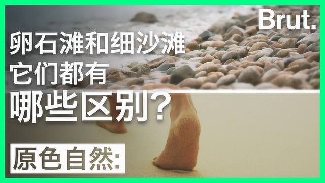 卵石滩和细沙滩都有哪些区别?