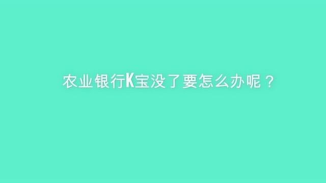 农业银行k宝没了要怎么办呢?