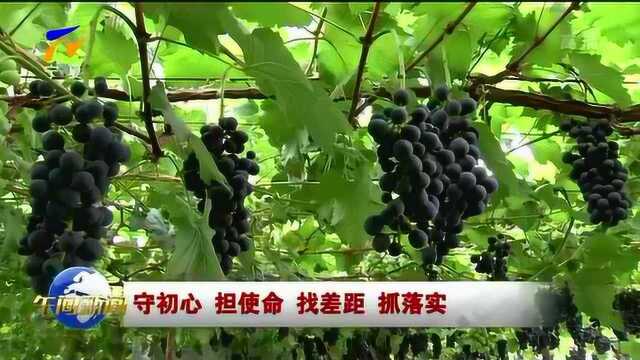 国有企业深入开展“不忘初心、牢记使命”主题教育