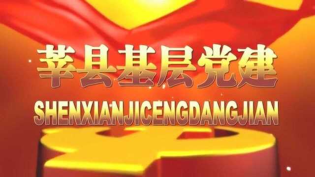 莘县基层党建第四十七期周