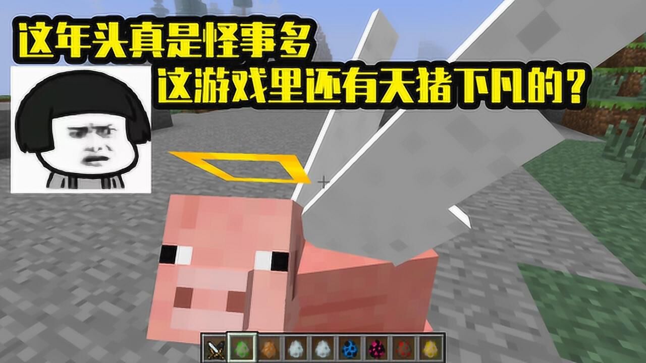 隔壁小月吖解说《MineCraft》_隔壁小月吖解说《MineCraft》_我的世界mod：MC里什么怪事都有，这还能碰上天猪下凡？_高清 ...
