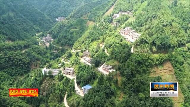 平桂区:分级分层梯度救助全力兜住民生底线