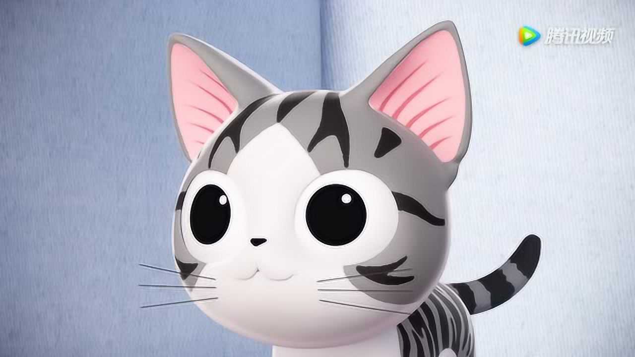 甜甜私房猫:小奇在房间里到处找好吃的东西,最后发现吃的在厨房