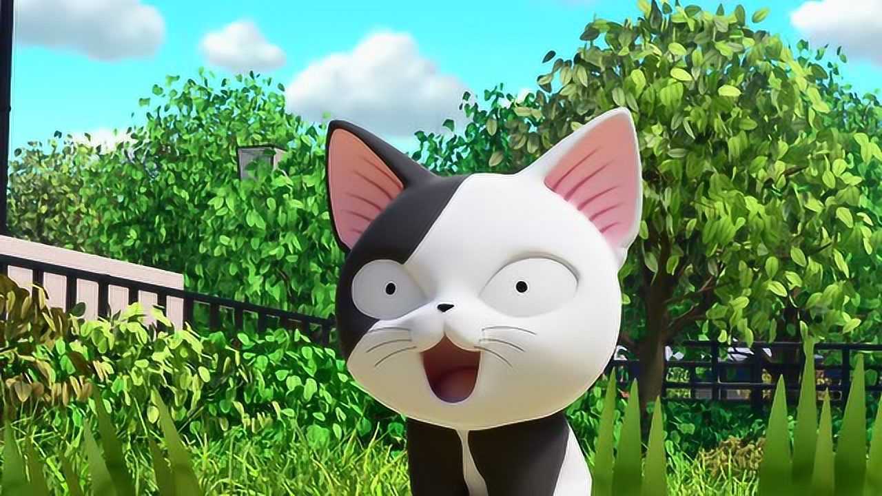 《甜甜私房猫》可奇,你真棒!