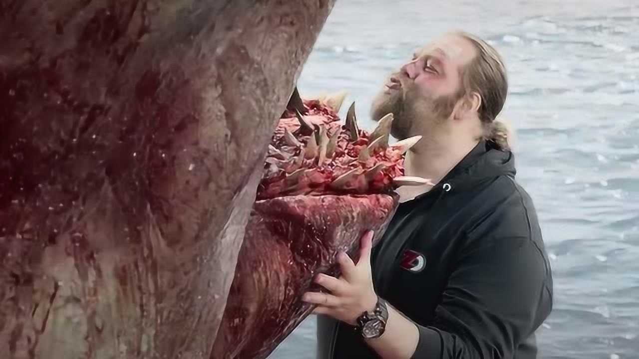 鲨鱼:以为这就结束了吗,我的复仇才刚开始!