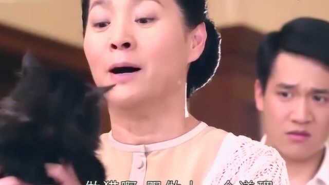 淑女之家:王启第一次踏入豪门,不会用刀叉,佣人指桑骂槐嘲讽他