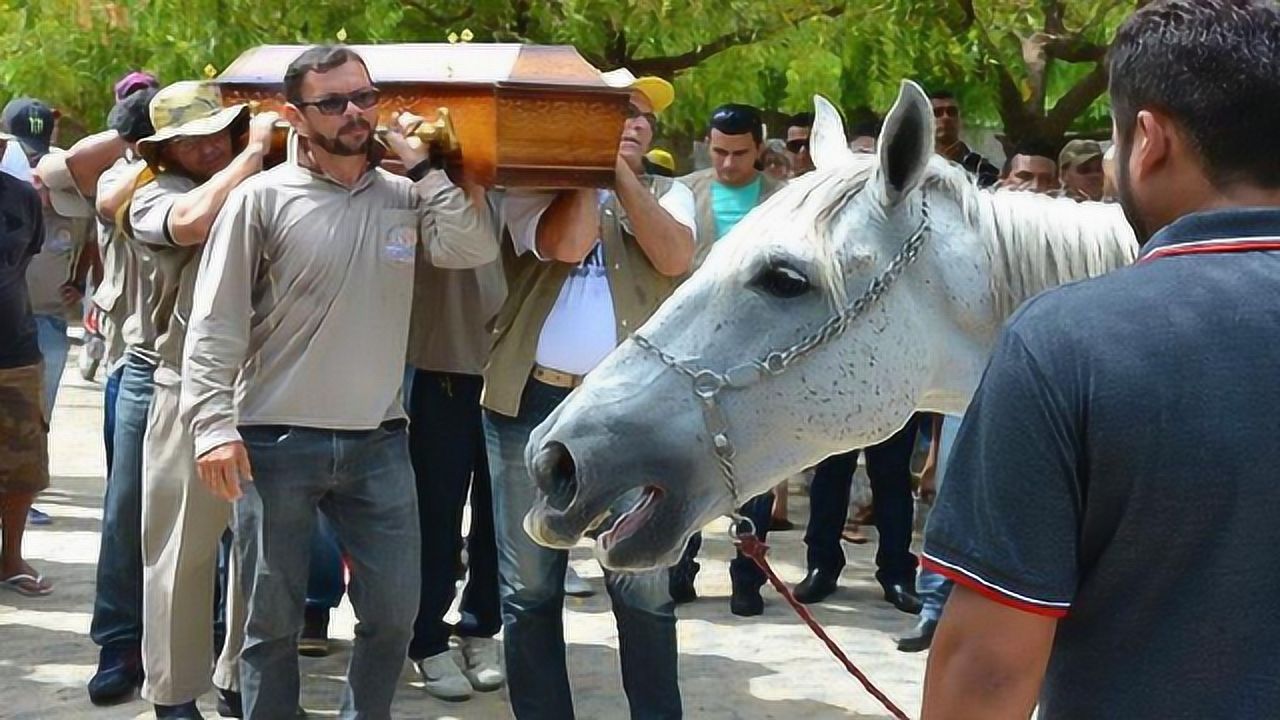 主人去世,心爱的马前来参加葬礼,接下来的一幕让人出乎意料!