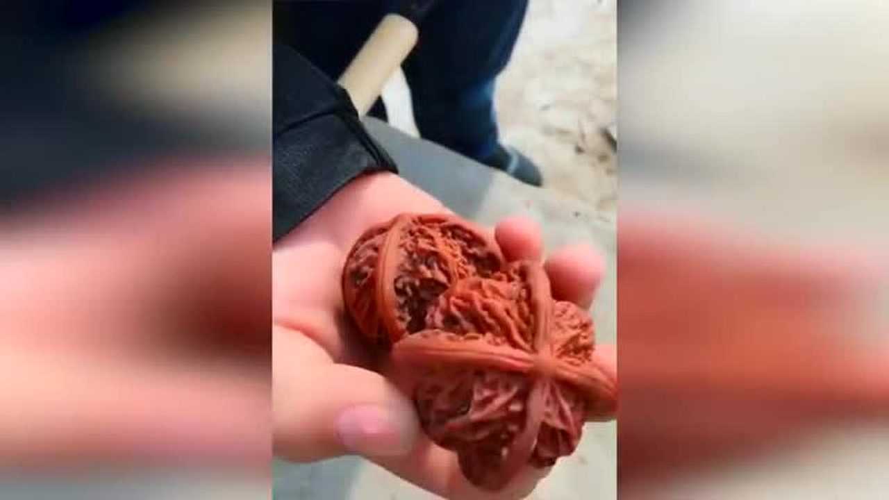 100买的文玩核桃 砸开一看成本不超5块钱