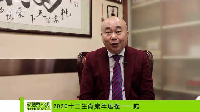 苏敬大师2020年十二生肖运势解析!属蛇篇