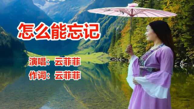 dj版《怎么能忘记》云菲菲