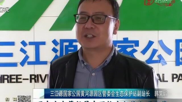 玛多:积极探索生态保护与藏区治理新模式