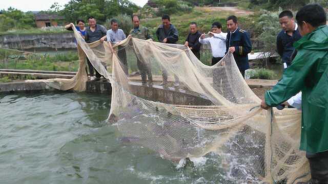 养殖补贴涨啦!5种水产养殖补贴了解一下,渔业柴油补贴近三十亿元