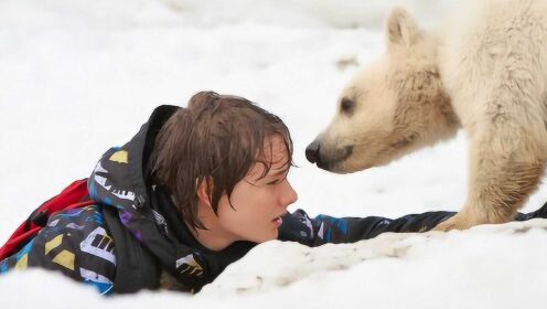 10岁男孩送北极熊回家，竟1人独闯北极，网友：结局看得直掉眼泪
