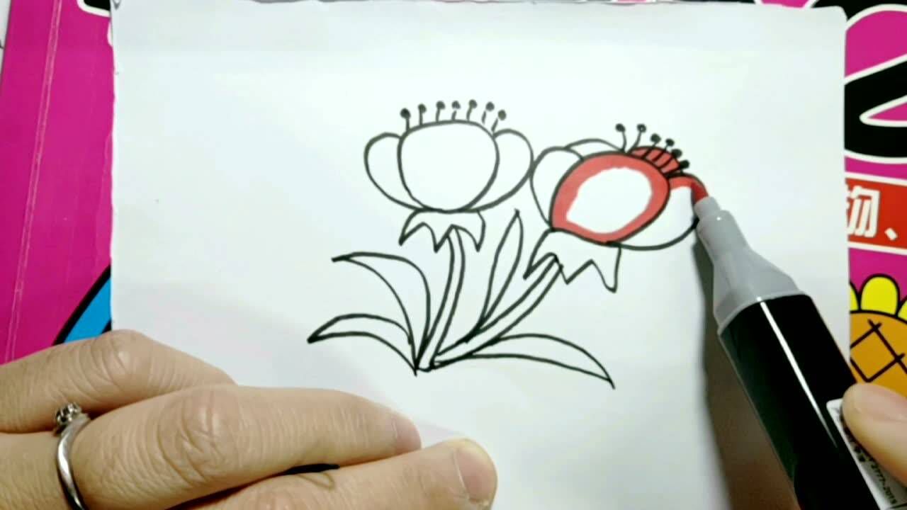 简笔画,教你画野花,简单易学