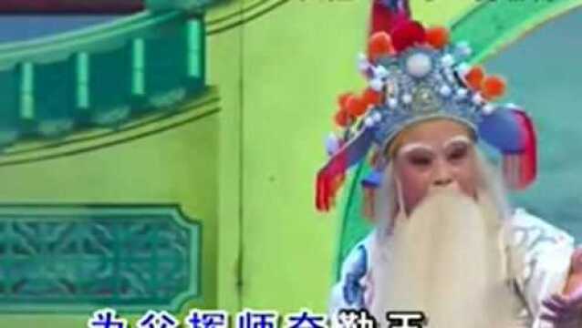 潮剧选段《忠烈门风天下传》演唱:林柔佳 林燕云