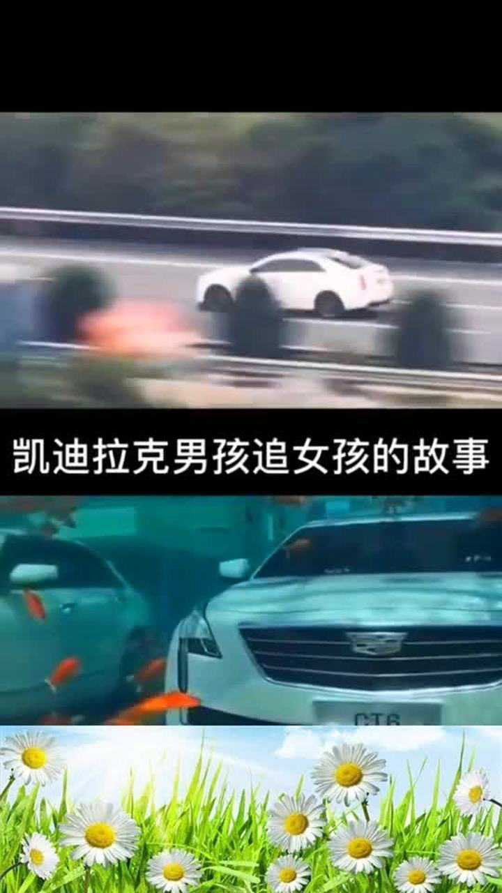 凯迪拉克追女孩的故事我放弃了所有挽留你看完泪目了
